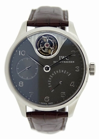 IWC IW504207 Grey Watch