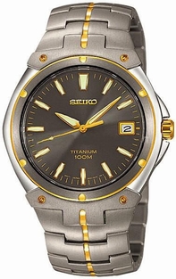 Grey Seiko SGEB34 Mens Titanium Watch