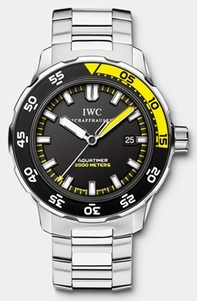 IWC Mens Stainless Steel Watch IW356801