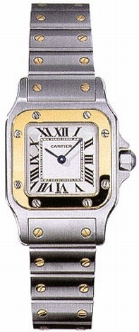 Cartier W20012C4 Santos Series Womens Watch