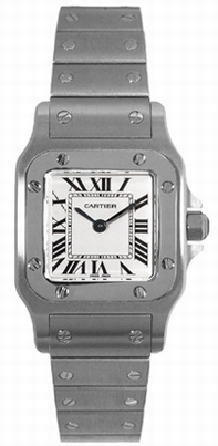 Cartier W20056D6 Santos Series Womens Watch