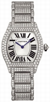 Cartier Tortue Series WA5049MC Watch