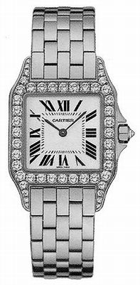 Cartier Santos Demoiselle WF9004Y8 White Gold Case Swiss Watch