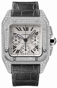 Cartier WM500651 Silver Watch