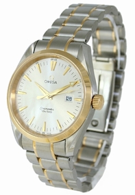 Omega Seamaster Aqua Terra 2317.30.00 Silver Dial Watch