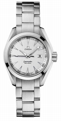 Omega Seamaster Series 23110306102001 Watch