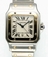 Cartier W20011C4