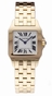 Cartier W25062X9