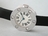 Cartier zWE800131