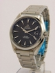 Omega Mens Stainless Steel Watch 231.10.42.21.06.001