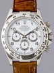 Rolex Daytona 116519MTRL 18K White Gold Case Swiss Watch