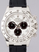 Rolex Daytona 116519MTRL White And Black Arabic Dial Watch