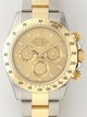 Ladies Tudor Rolex