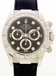 Rolex Daytona Series 116589BR Watch