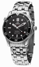 Omega Seamaster 300 M Gmt Black Dial 2006 Replica